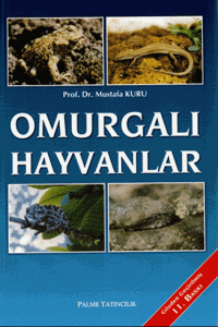 Omurgalı Hayvanlar