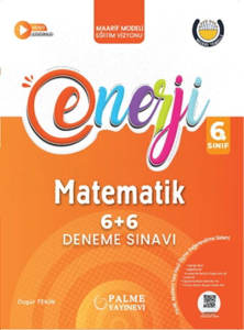 Palme Yayınları 6. Sınıf Matematik 6+6 Deneme Sınavı
