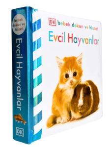 Evcil Hayvanlar