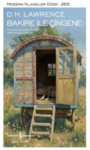 Bakire ile Çingene (Ciltli)