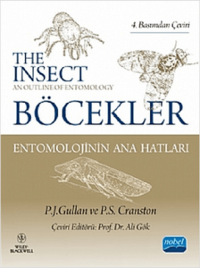 Böcekler
