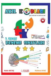 Palme Yayınları 3. Sınıf Akıl Kodları Deneme Sınavı