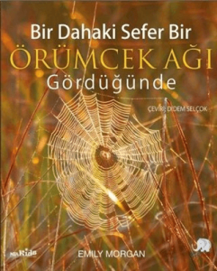 Örümcek Ağı