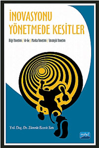 İnovasyonu Yönetmede Kesitler