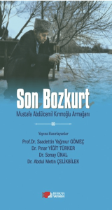 Son Bozkurt