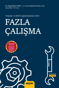 Fazla Çalışma