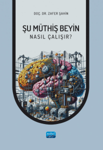 Şu Müthiş Beyin