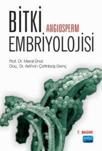 Bitki Embriyolojisi Angiosperm