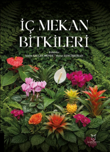 İç Mekan Bitkileri