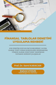Finansal Tablolar Denetimi Uygulama Rehberi