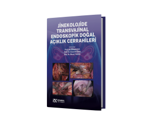 Jinekolojide Transvajinal Endoskopik Doğal Açıklık Cerrahileri