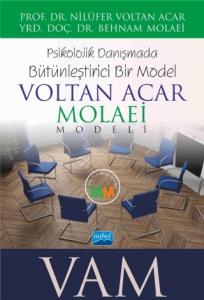 Psikolojik Danışmada Bütünleştirici Bir Model
