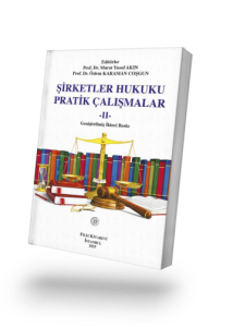 Şirketler Hukuku Pratik Çalışmalar II