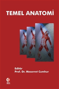 Temel Anatomi