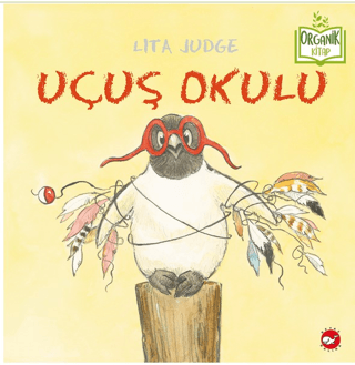 Uçuş Okulu