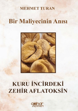 Bir Maliyecinin Anısı