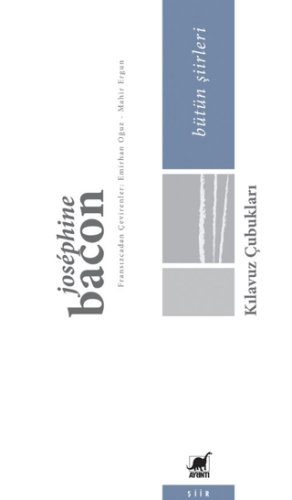 Kılavuz Çubukları