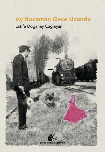 Edebiyat,Roman, - Meşe Kitaplığı - Ay Kocaman Gece Uzundu