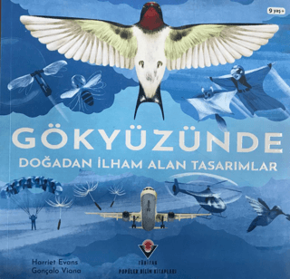 Gökyüzünde