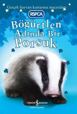 Böğürtlen Adasında Bir Porsuk