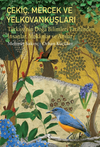 Çekiç, Mercek Ve Yelkovankuşları