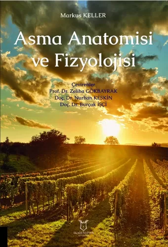 Asma Anatomisi ve Fizyolojisi