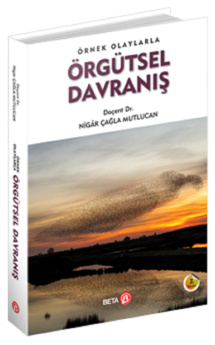 Üniversite Ders Kitapları - Örnek Olaylarla Örgütsel Davranış - Nigar 