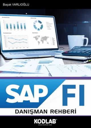 SAP FI Danışman Rehberi
