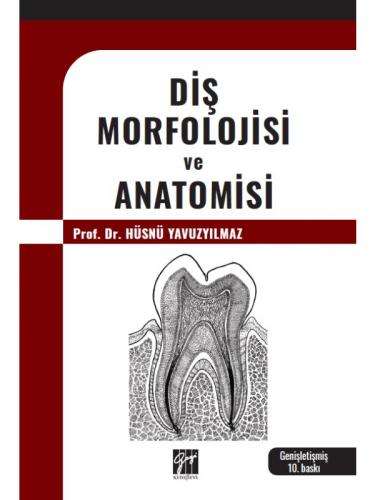 Diş Morfolojisi ve Anatomisi Hüsnü Yavuzyılmaz