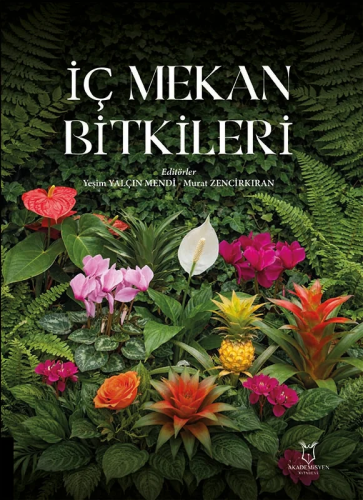 İç Mekan Bitkileri