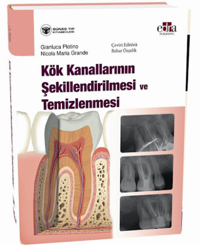 Kök Kanallarının Şekillendirilmesi ve Temizlenmesi