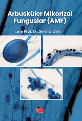 Genel Konular - Arbusküler Mikorizal Funguslar (AMF) - Semra Demir - N