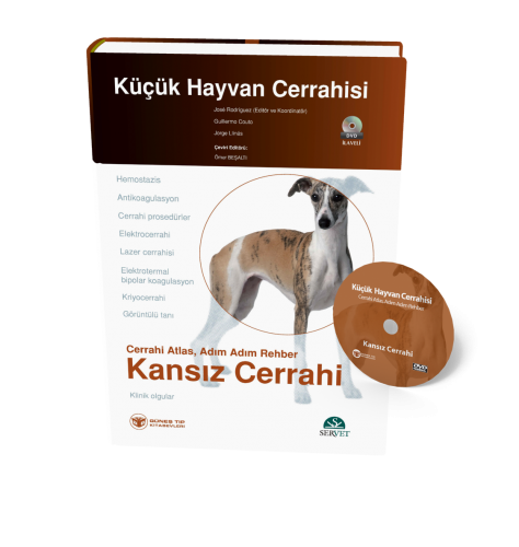 Küçük Hayvan Cerrahisi