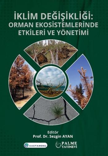 İklim Değişikliği
