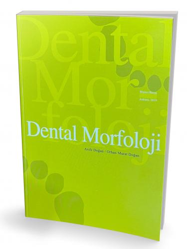 Dental Morfoloji Arife Doğan