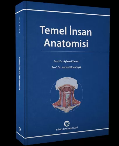 Temel İnsan Anatomisi