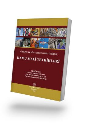 - Filiz Kitabevi - Kamu Mali Tetkikleri