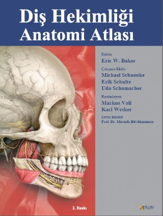 Diş Hekimliği Anatomi Atlası Mustafa Büyükmumcu