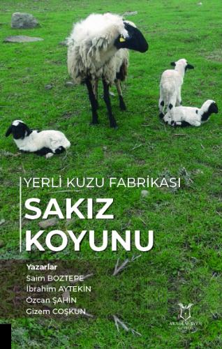 Yerli Kuzu Fabrikası Sakız Koyunu
